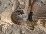 Sea Mine after excavation.