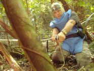 Remote pulling of landmines prior to removal to the demolitions range.