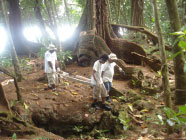 Hand transportation of excavated Japanese 50kg aircraft bomb.